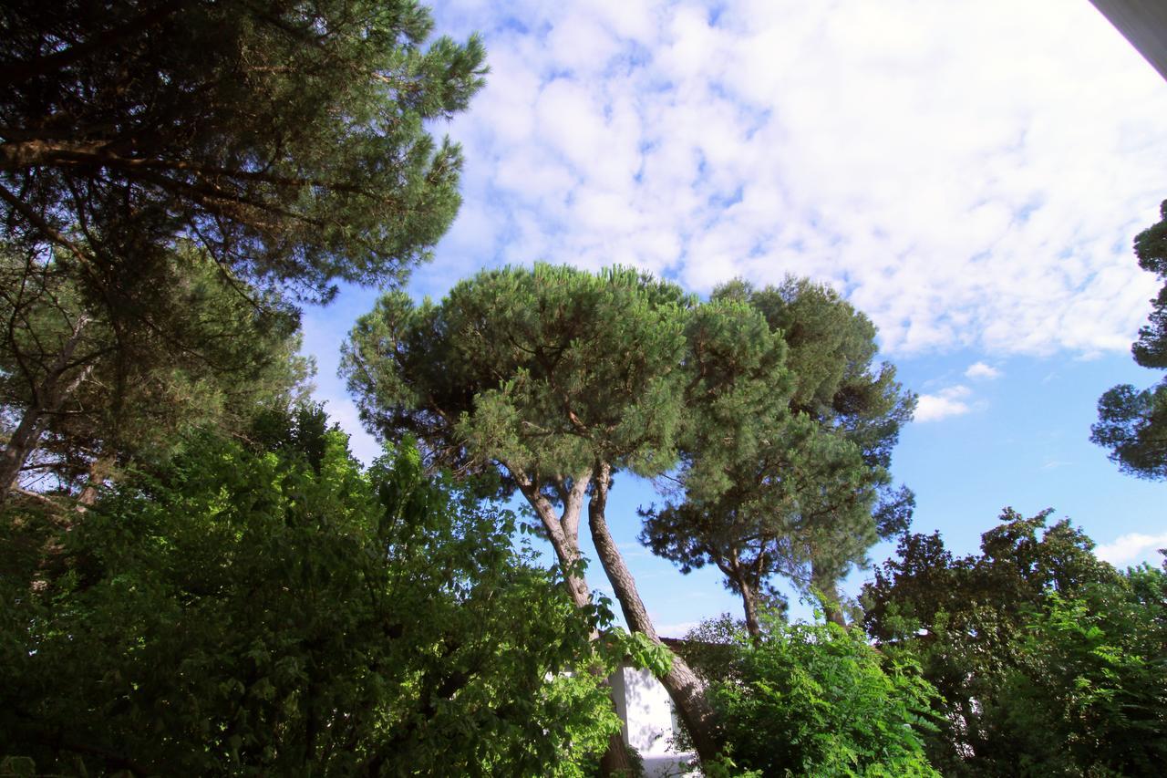 Hotel Garni Picnic Riccione Eksteriør bilde